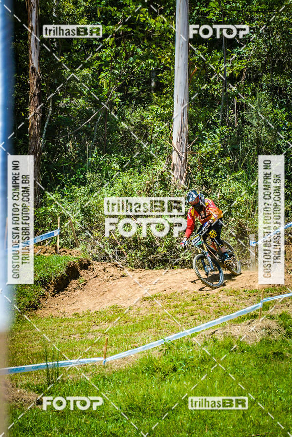Buy your photos of the eventSul Brasileiro de Downhill on Fotop