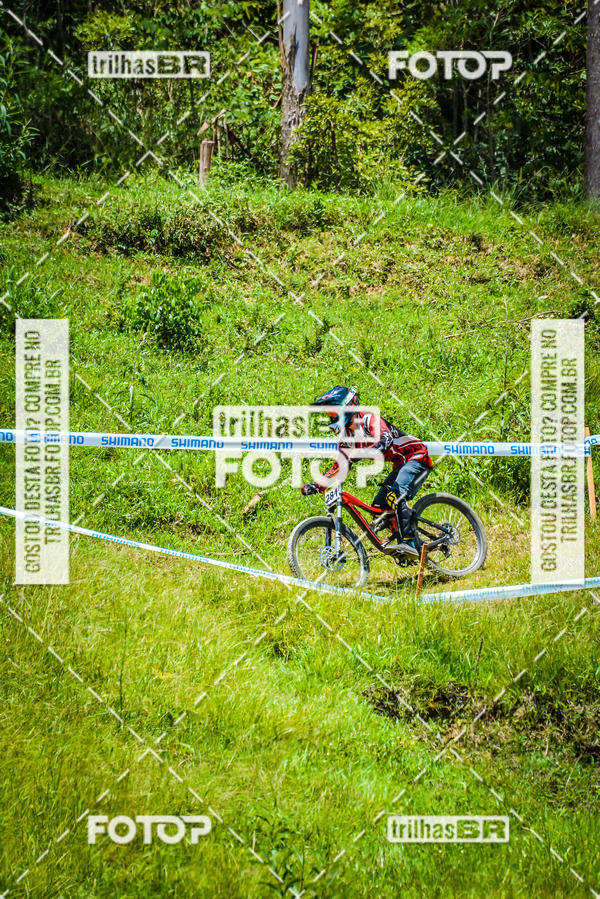 Buy your photos of the eventSul Brasileiro de Downhill on Fotop