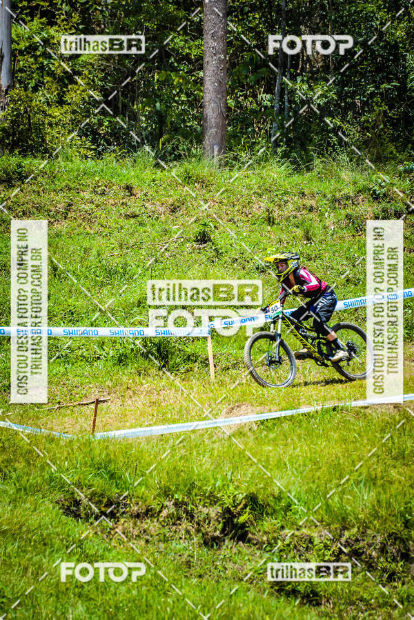 Buy your photos of the eventSul Brasileiro de Downhill on Fotop