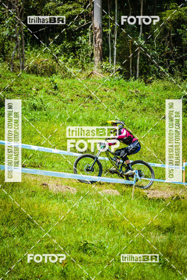 Buy your photos of the eventSul Brasileiro de Downhill on Fotop