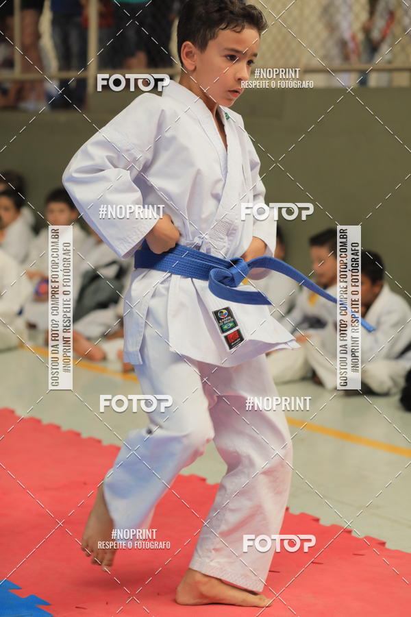 Buy your photos of the event2 COPA MOGI GUAU DE KARATE on Fotop