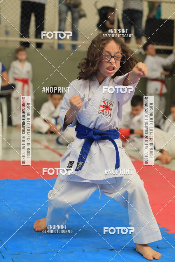 Buy your photos of the event2 COPA MOGI GUAU DE KARATE on Fotop