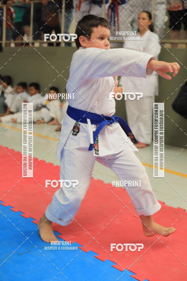 Buy your photos of the event2 COPA MOGI GUAU DE KARATE on Fotop