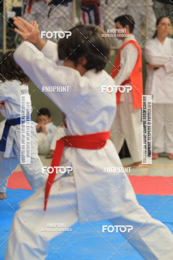 Buy your photos of the event2 COPA MOGI GUAU DE KARATE on Fotop