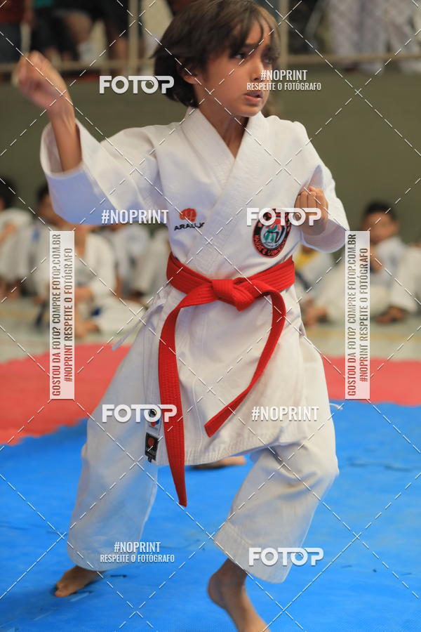 Buy your photos of the event2 COPA MOGI GUAU DE KARATE on Fotop