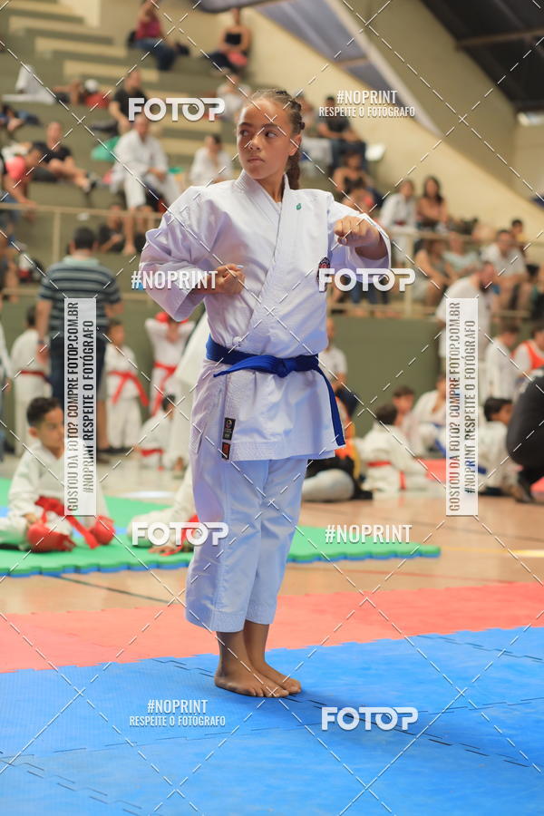 Buy your photos of the event2 COPA MOGI GUAU DE KARATE on Fotop