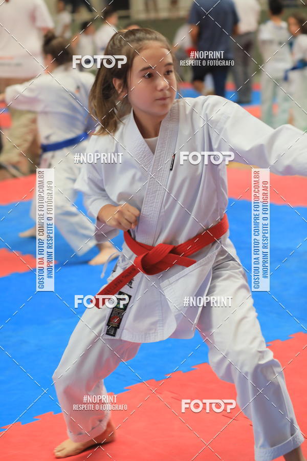 Buy your photos of the event2 COPA MOGI GUAU DE KARATE on Fotop
