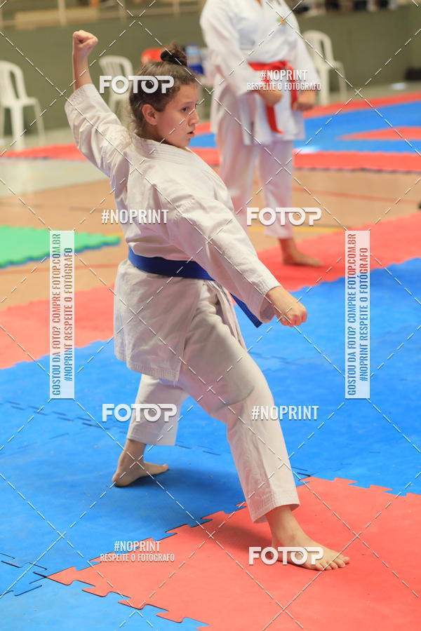 Buy your photos of the event2 COPA MOGI GUAU DE KARATE on Fotop