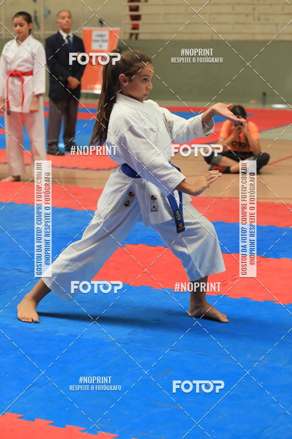 Buy your photos of the event2 COPA MOGI GUAU DE KARATE on Fotop