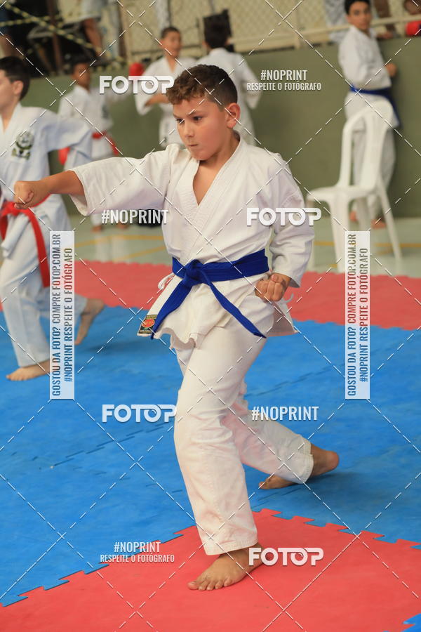 Buy your photos of the event2 COPA MOGI GUAU DE KARATE on Fotop