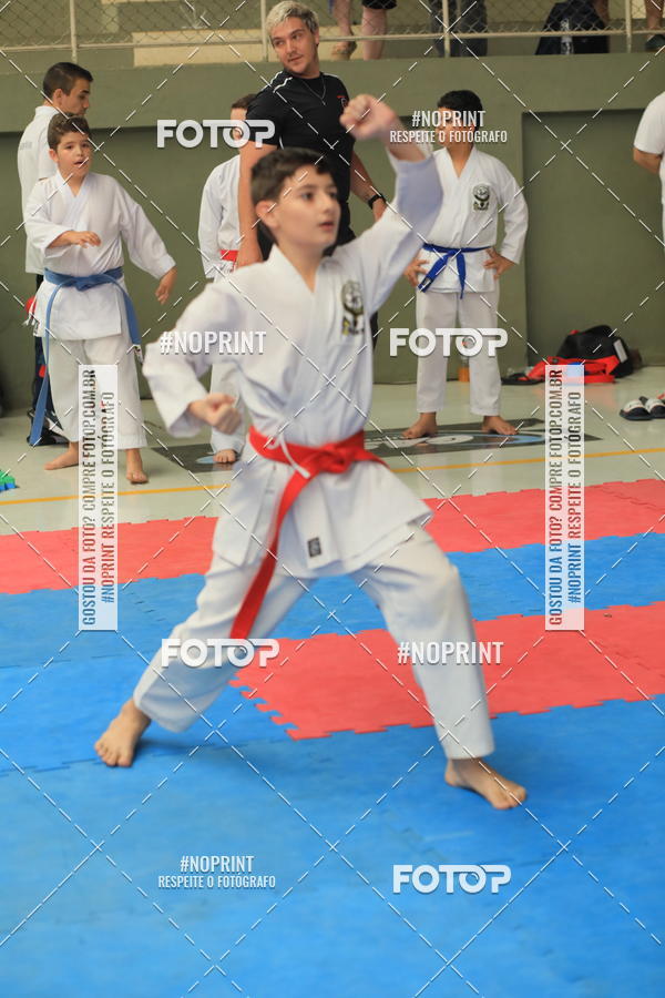 Buy your photos of the event2 COPA MOGI GUAU DE KARATE on Fotop