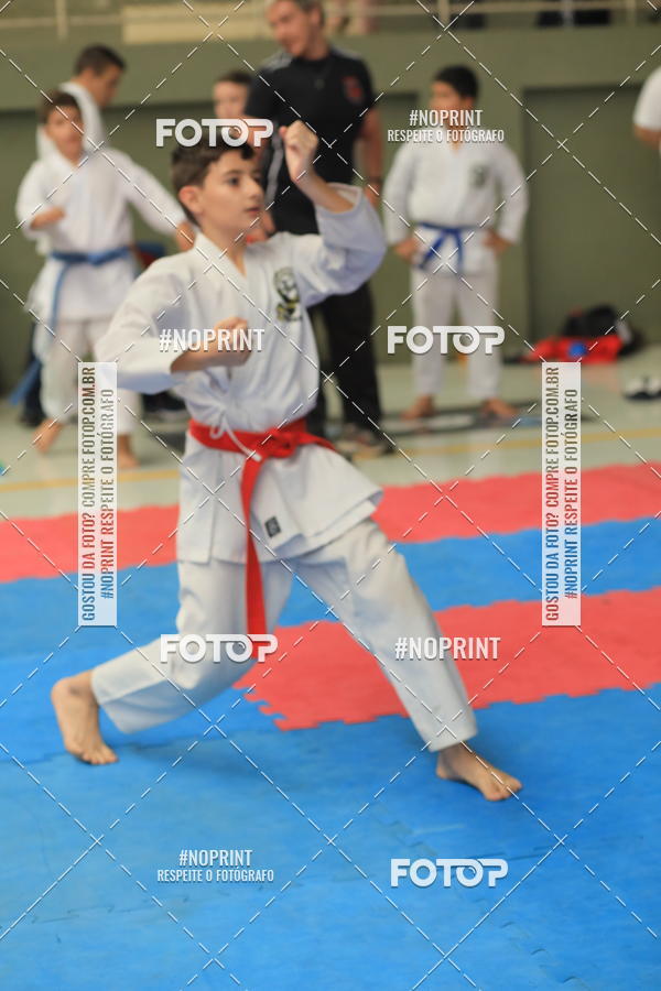 Buy your photos of the event2 COPA MOGI GUAU DE KARATE on Fotop
