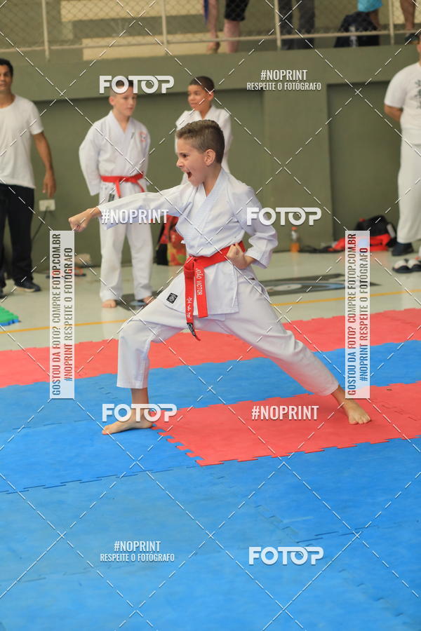 Buy your photos of the event2 COPA MOGI GUAU DE KARATE on Fotop