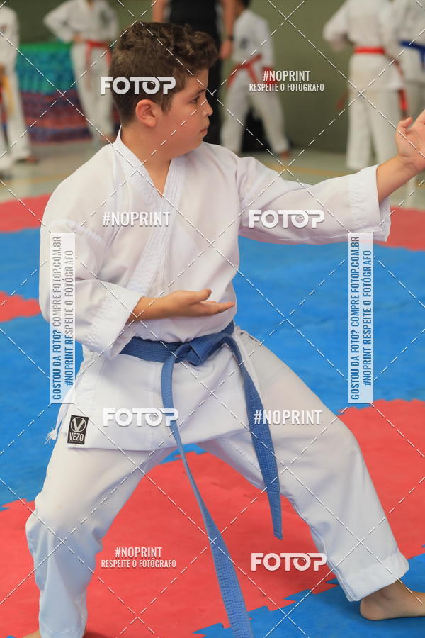 Buy your photos of the event2 COPA MOGI GUAU DE KARATE on Fotop