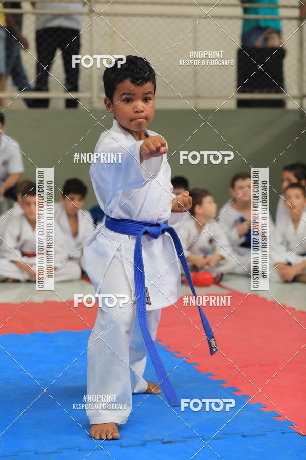Buy your photos of the event2 COPA MOGI GUAU DE KARATE on Fotop