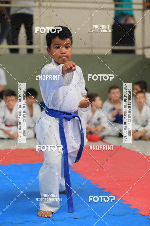 Buy your photos of the event2 COPA MOGI GUAU DE KARATE on Fotop
