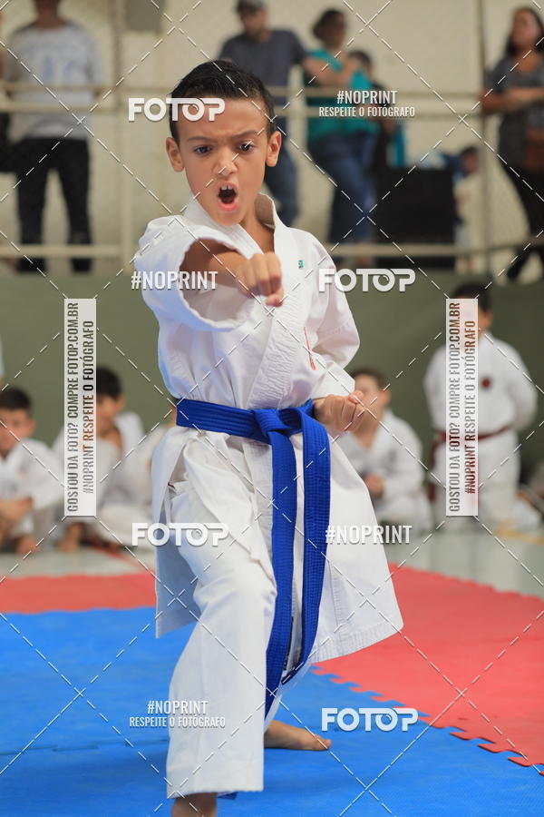 Buy your photos of the event2 COPA MOGI GUAU DE KARATE on Fotop