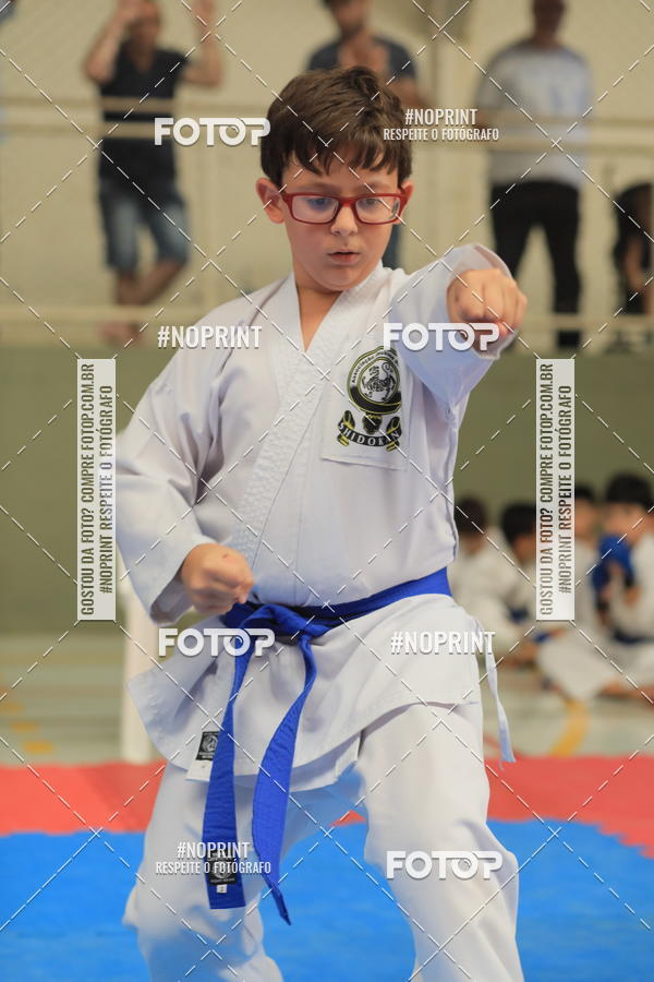 Buy your photos of the event2 COPA MOGI GUAU DE KARATE on Fotop
