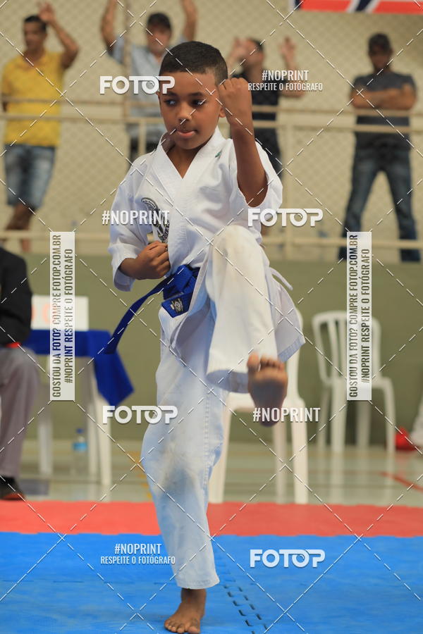 Buy your photos of the event2 COPA MOGI GUAU DE KARATE on Fotop