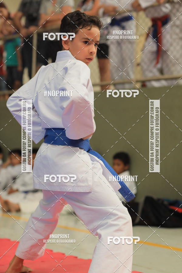 Buy your photos of the event2 COPA MOGI GUAU DE KARATE on Fotop