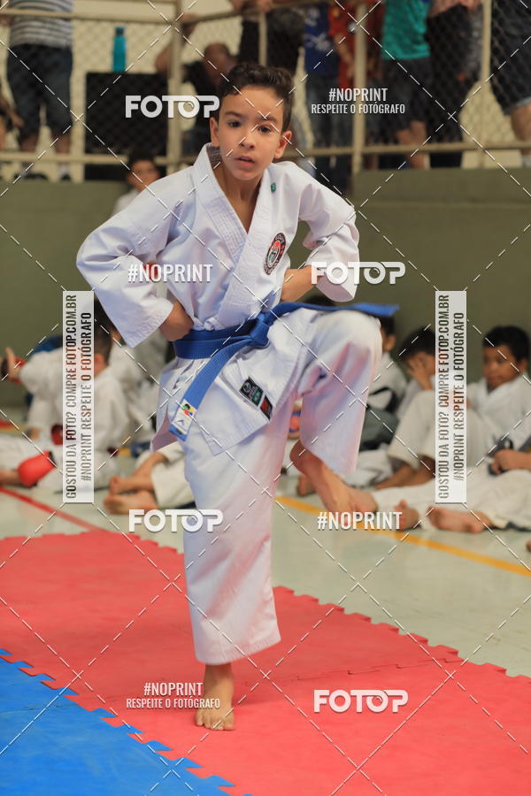 Buy your photos of the event2 COPA MOGI GUAU DE KARATE on Fotop