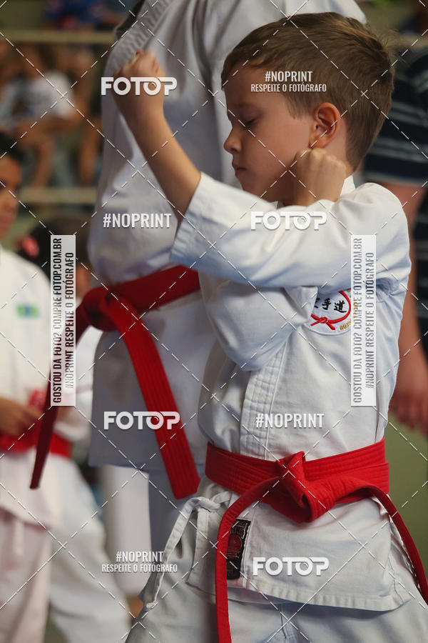 Buy your photos of the event2 COPA MOGI GUAU DE KARATE on Fotop