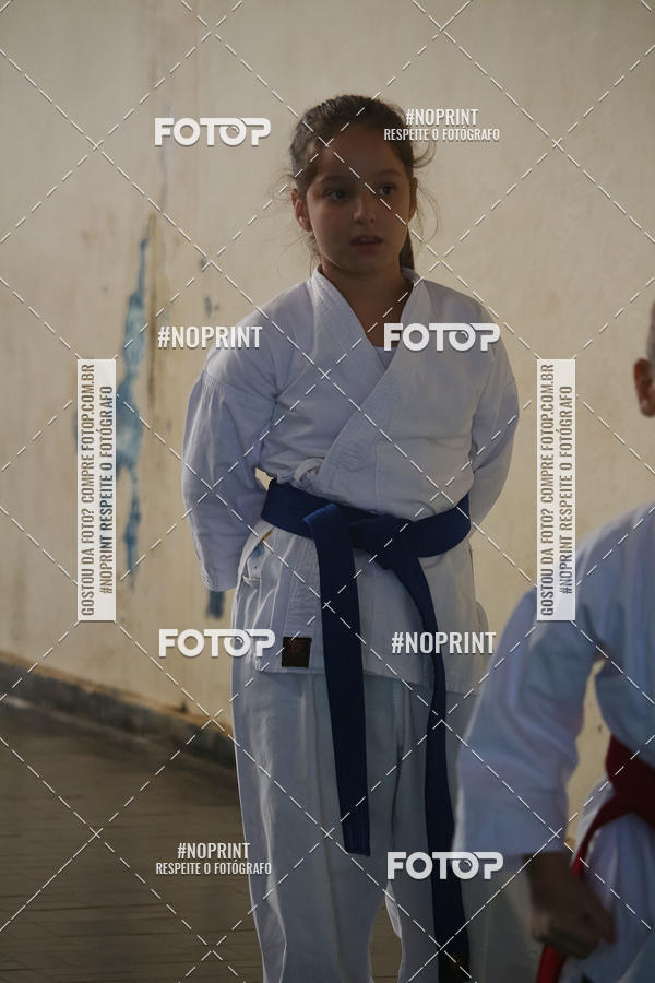 Buy your photos of the event2 COPA MOGI GUAU DE KARATE on Fotop