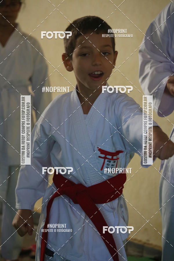 Buy your photos of the event2 COPA MOGI GUAU DE KARATE on Fotop