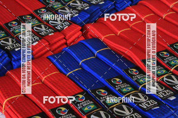 Buy your photos of the event2 COPA MOGI GUAU DE KARATE on Fotop