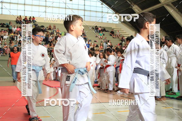 Buy your photos of the event2 COPA MOGI GUAU DE KARATE on Fotop