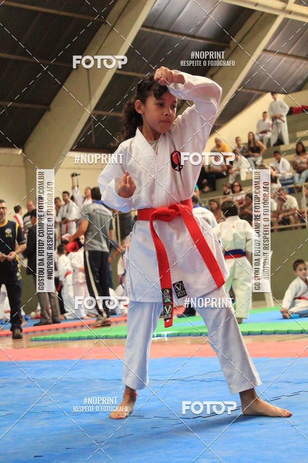 Buy your photos of the event2 COPA MOGI GUAU DE KARATE on Fotop