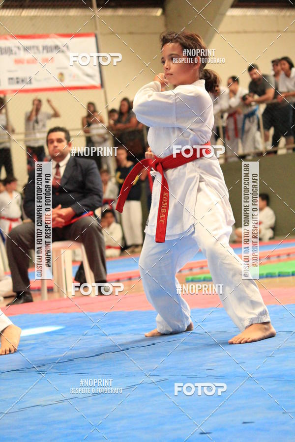 Buy your photos of the event2 COPA MOGI GUAU DE KARATE on Fotop