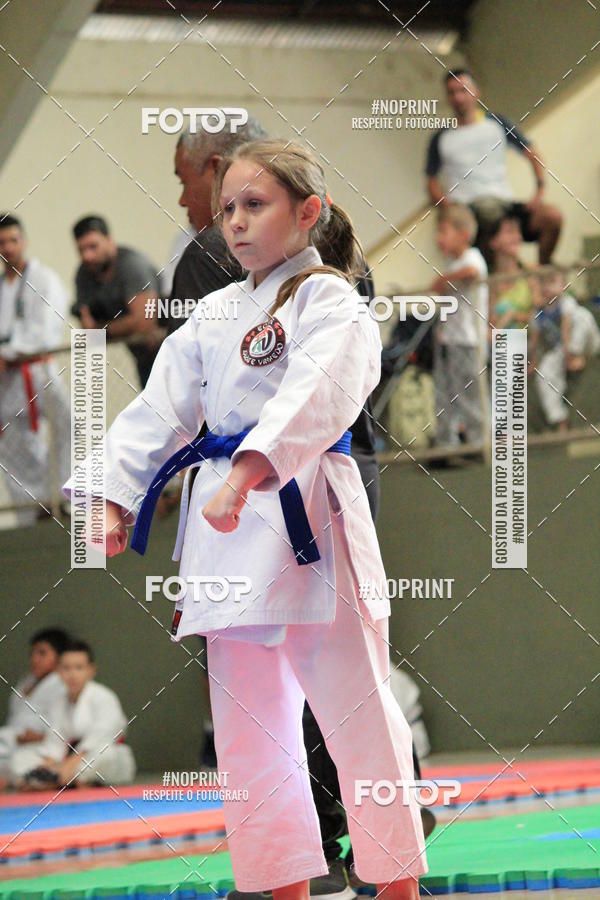 Buy your photos of the event2 COPA MOGI GUAU DE KARATE on Fotop