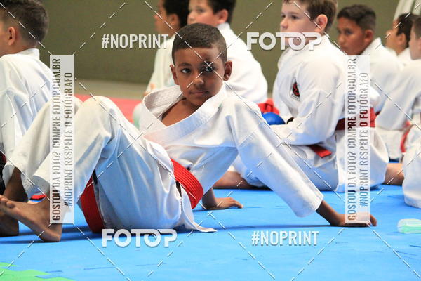 Buy your photos of the event2 COPA MOGI GUAU DE KARATE on Fotop