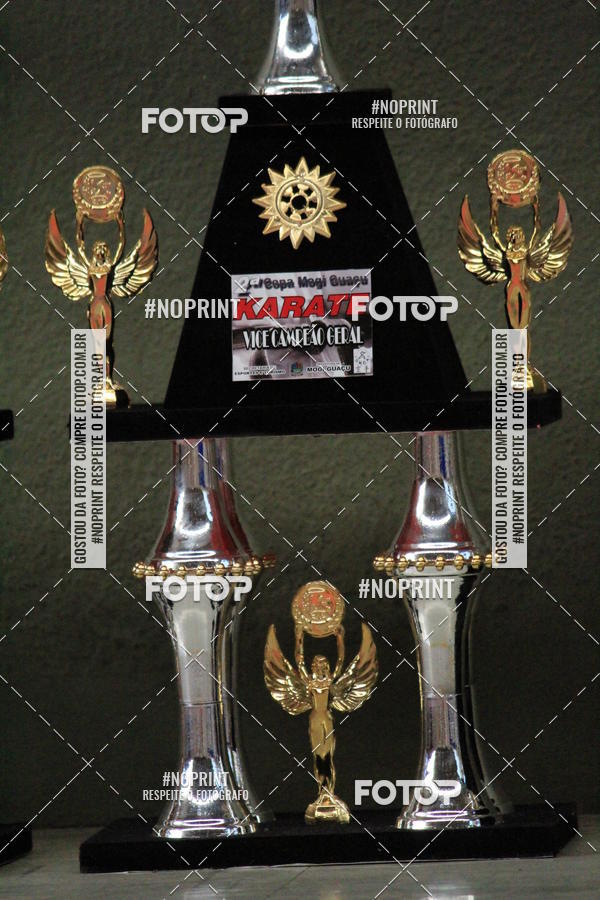 Buy your photos of the event2 COPA MOGI GUAU DE KARATE on Fotop