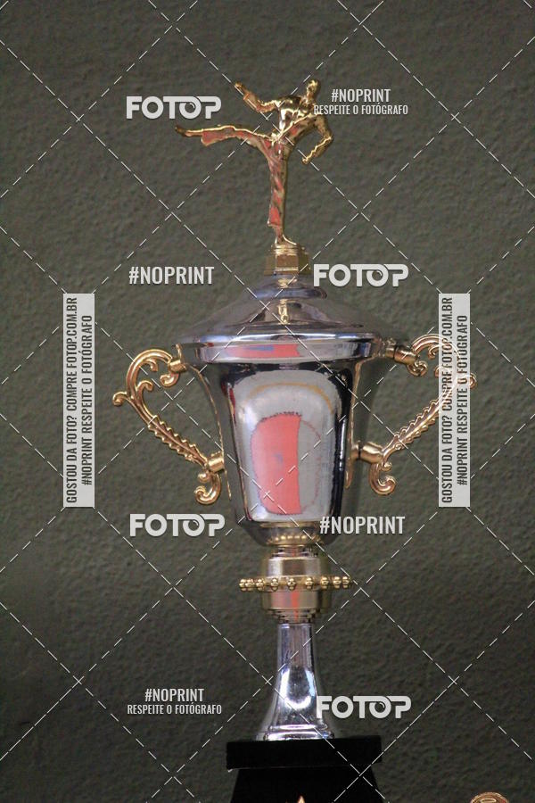 Buy your photos of the event2 COPA MOGI GUAU DE KARATE on Fotop