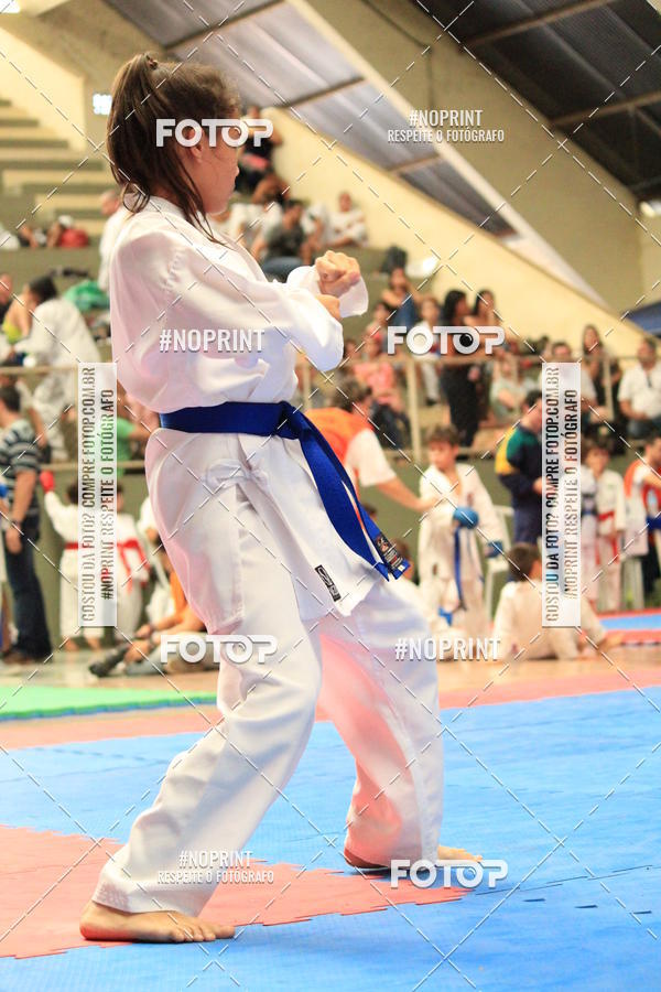 Buy your photos of the event2 COPA MOGI GUAU DE KARATE on Fotop
