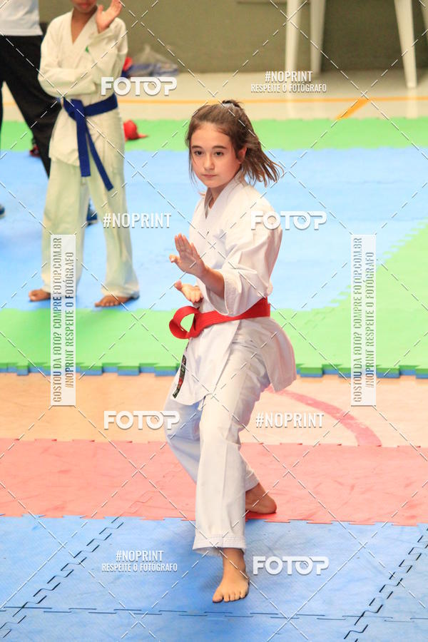 Buy your photos of the event2 COPA MOGI GUAU DE KARATE on Fotop