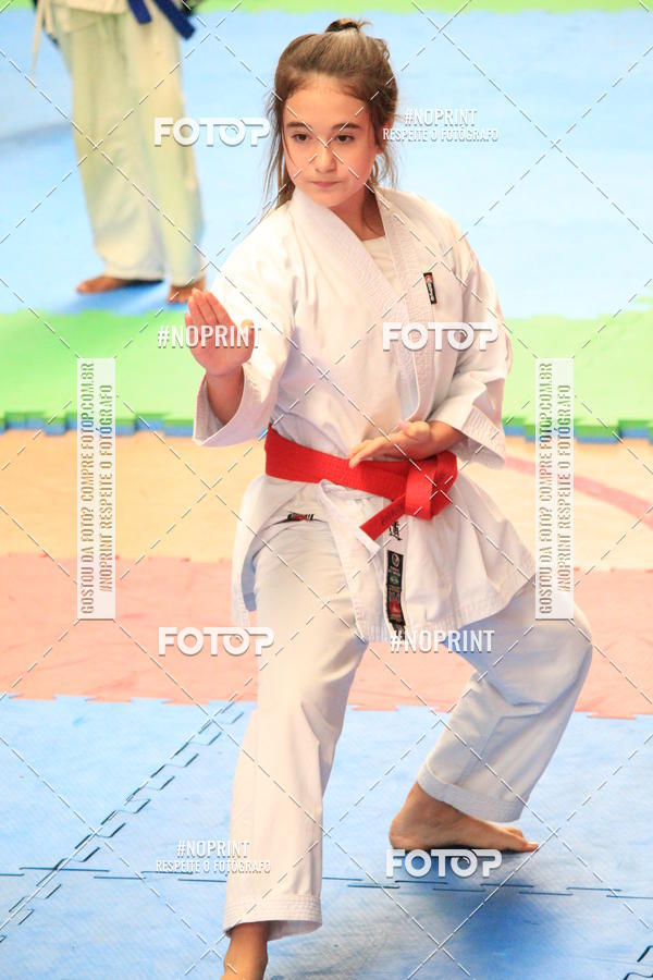 Buy your photos of the event2 COPA MOGI GUAU DE KARATE on Fotop