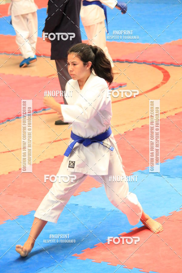Buy your photos of the event2 COPA MOGI GUAU DE KARATE on Fotop