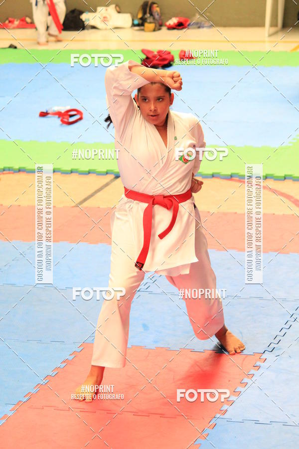 Buy your photos of the event2 COPA MOGI GUAU DE KARATE on Fotop