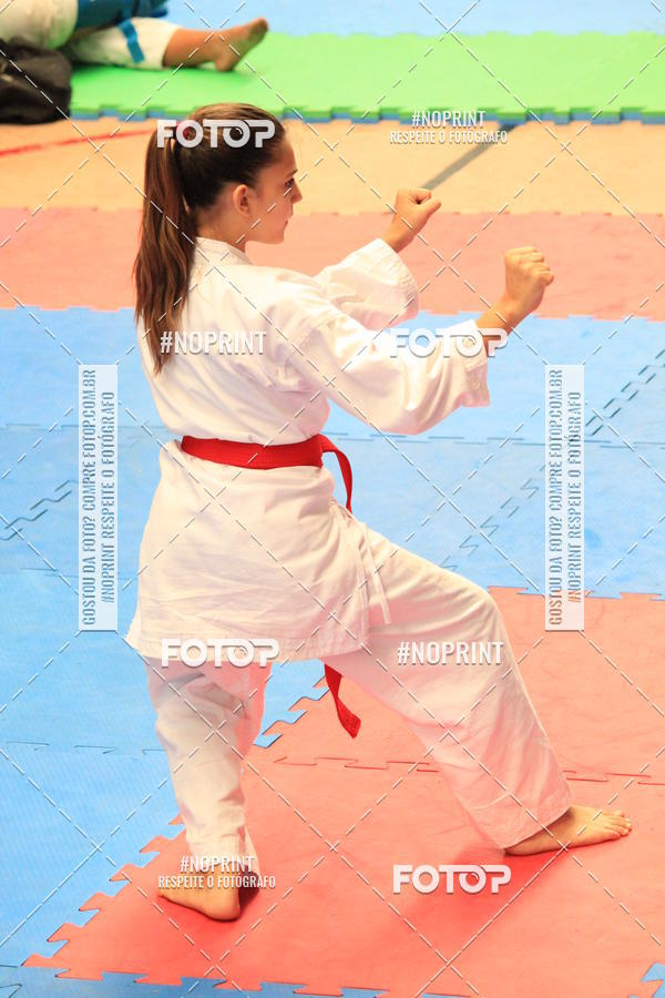 Buy your photos of the event2 COPA MOGI GUAU DE KARATE on Fotop