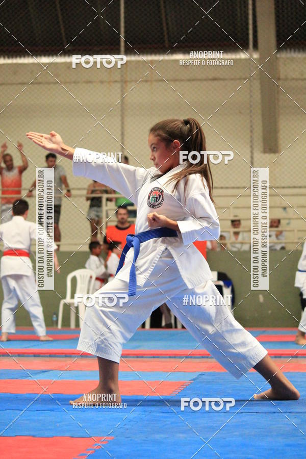 Buy your photos of the event2 COPA MOGI GUAU DE KARATE on Fotop
