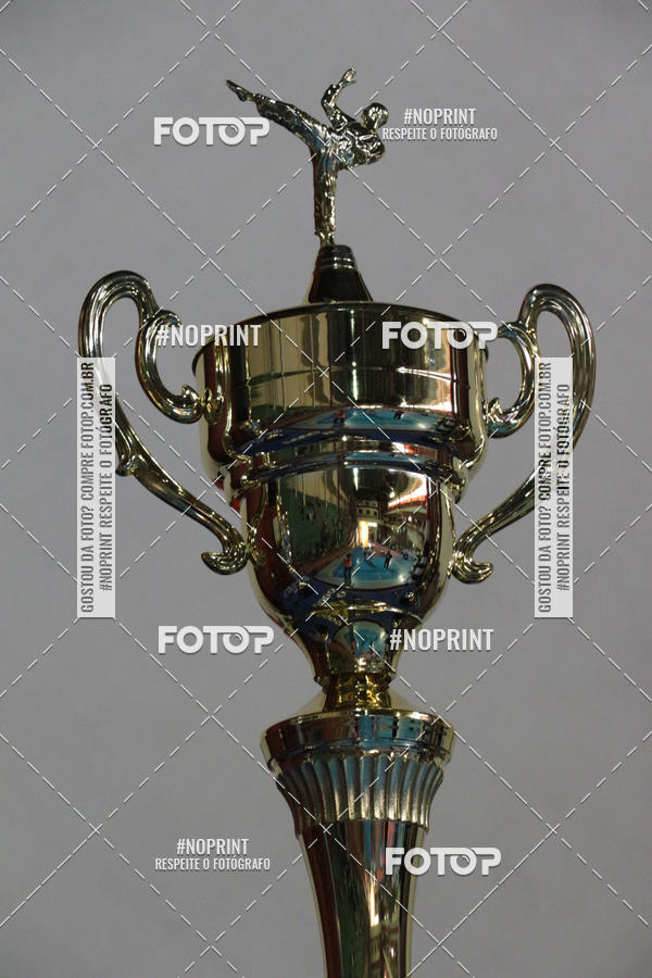 Buy your photos of the event14 COPA ASK SERRA NEGRA DE KARATE on Fotop