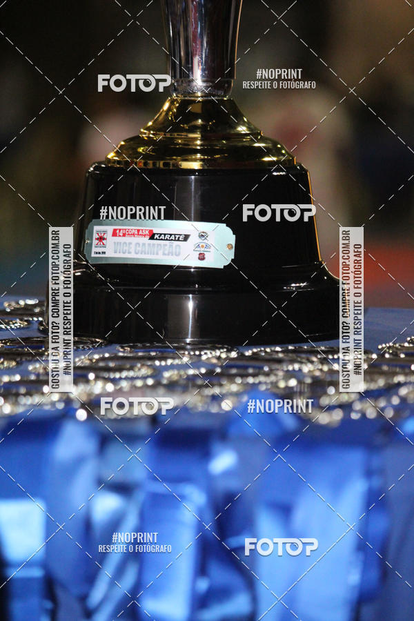 Buy your photos of the event14 COPA ASK SERRA NEGRA DE KARATE on Fotop