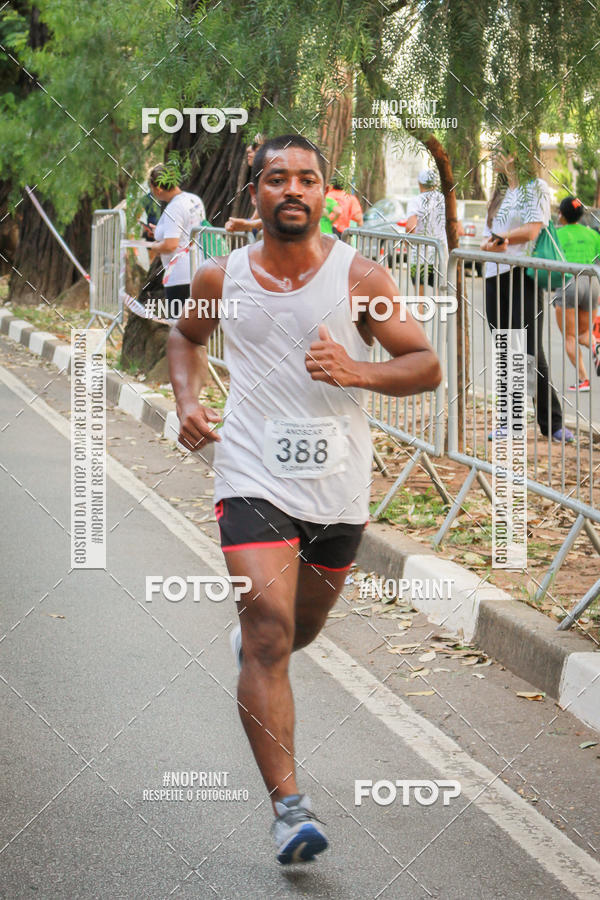 Buy your photos of the event6 Corrida e Caminhada ANOSCAR on Fotop