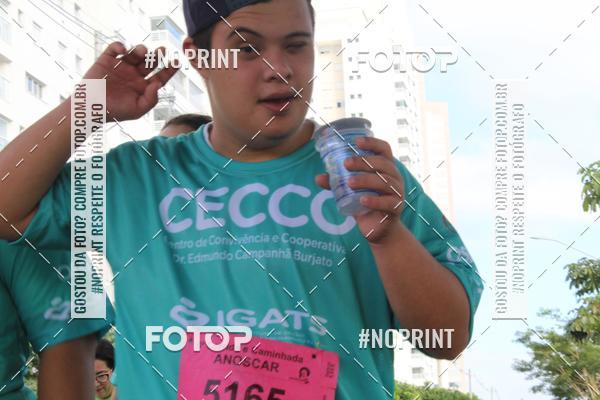 Buy your photos of the event6 Corrida e Caminhada ANOSCAR on Fotop