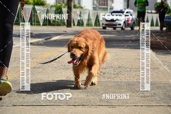 Buy your photos of the eventIV CICORRE - Lagoa do Ara - Recife on Fotop