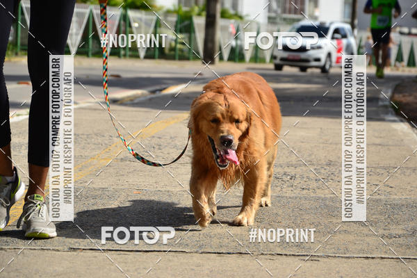 Buy your photos of the eventIV CICORRE - Lagoa do Ara - Recife on Fotop