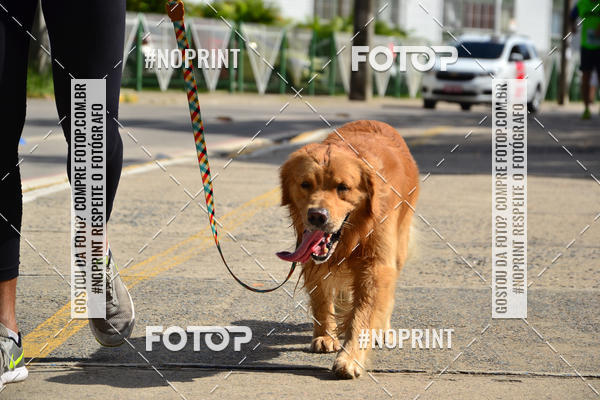 Buy your photos of the eventIV CICORRE - Lagoa do Ara - Recife on Fotop